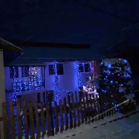 Casa Bradul Homestay