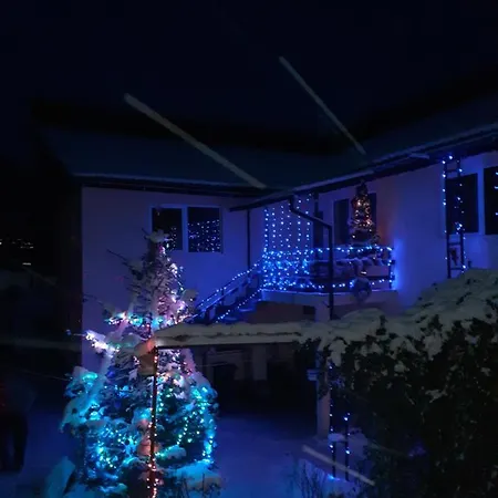 Casa Bradul Homestay