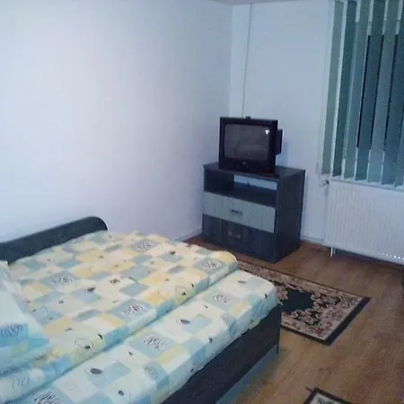 Casa Bradul