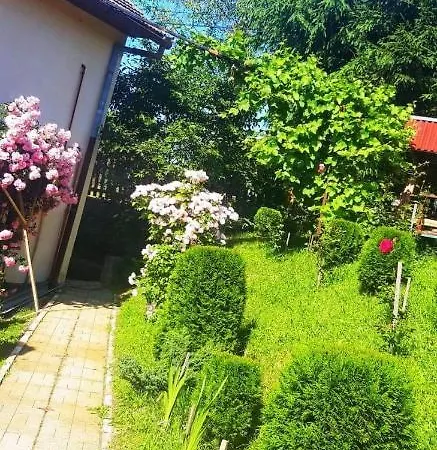 Homestay Casa Bradul Bran (Brasov)