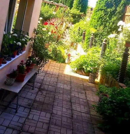 Homestay Casa Bradul Bran (Brasov)